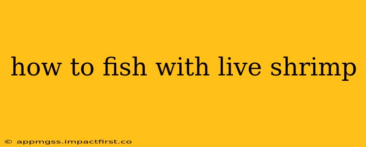 how to fish with live shrimp