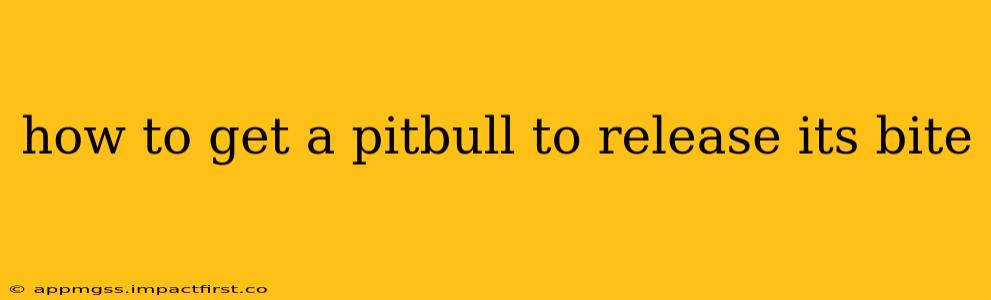 how to get a pitbull to release its bite