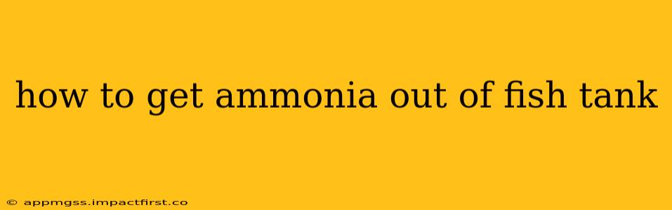 how to get ammonia out of fish tank