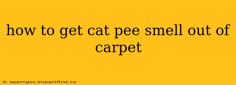 how to get cat pee smell out of carpet
