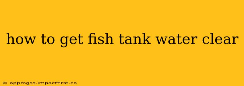how to get fish tank water clear