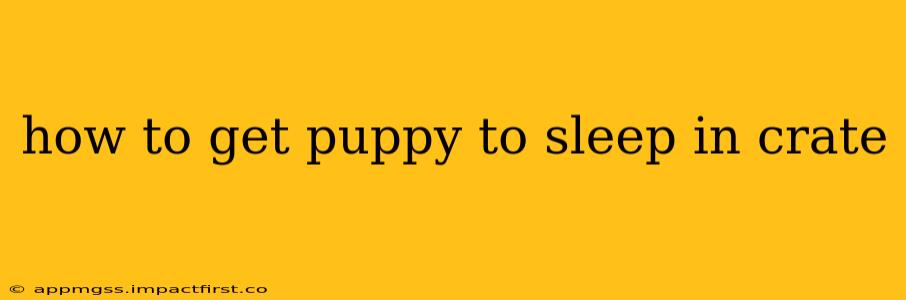 how to get puppy to sleep in crate