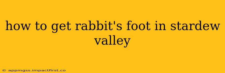 how to get rabbit's foot in stardew valley