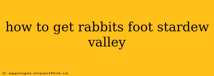 how to get rabbits foot stardew valley