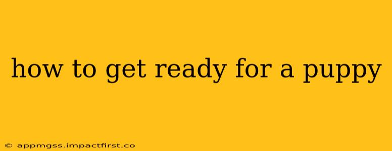 how to get ready for a puppy