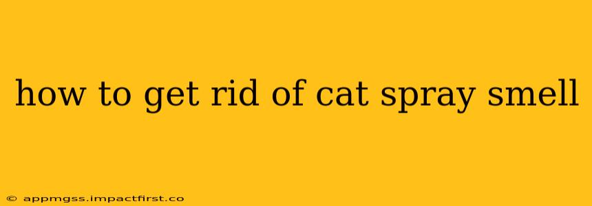 how to get rid of cat spray smell