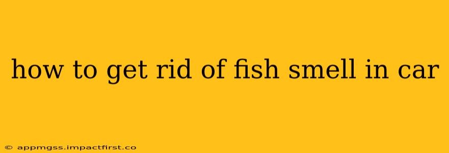 how to get rid of fish smell in car
