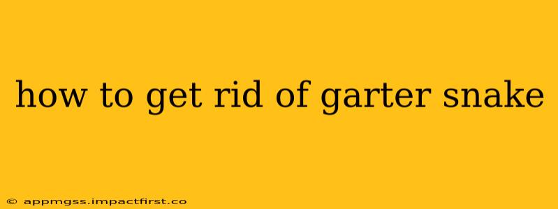 how to get rid of garter snake