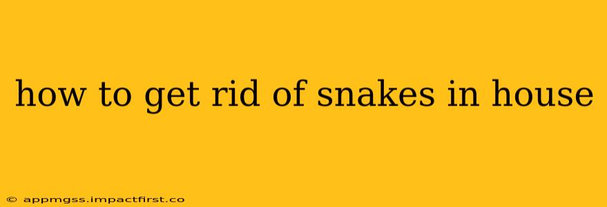 how to get rid of snakes in house