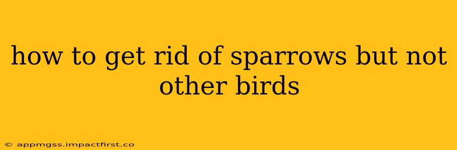 how to get rid of sparrows but not other birds