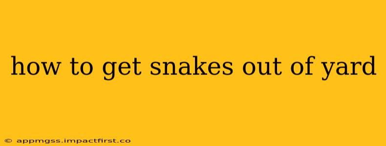 how to get snakes out of yard
