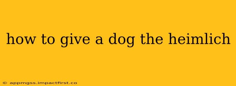 how to give a dog the heimlich