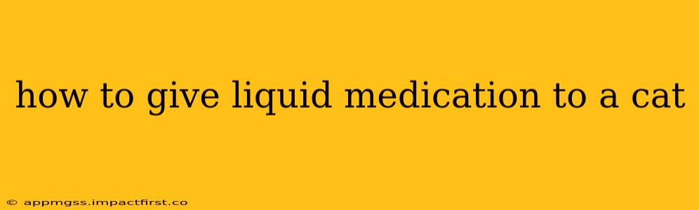 how to give liquid medication to a cat