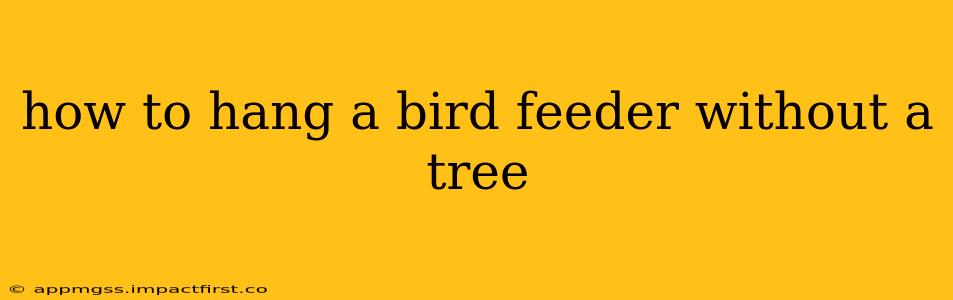 how to hang a bird feeder without a tree