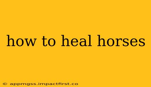 how to heal horses