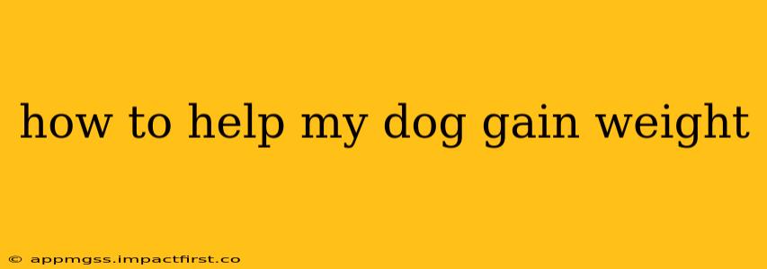 how to help my dog gain weight