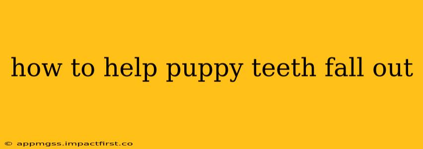 how to help puppy teeth fall out