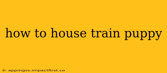 how to house train puppy