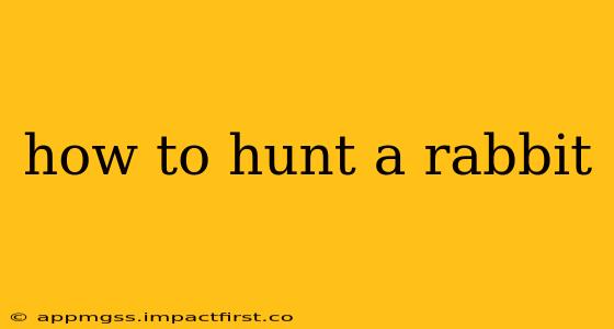 how to hunt a rabbit