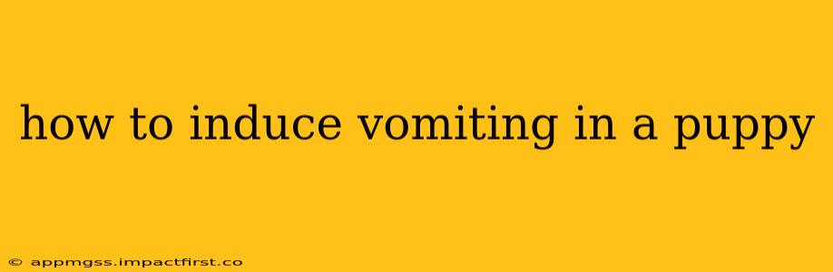 how to induce vomiting in a puppy