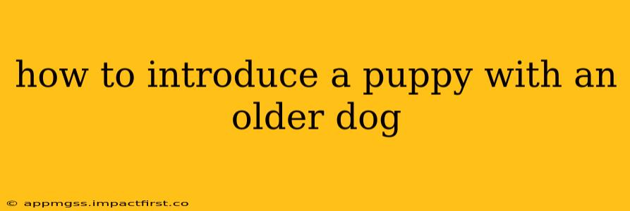 how to introduce a puppy with an older dog
