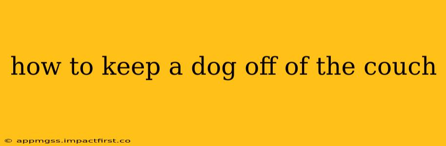 how to keep a dog off of the couch