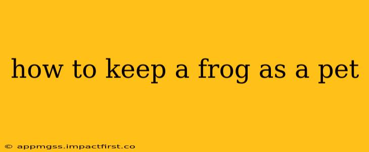 how to keep a frog as a pet