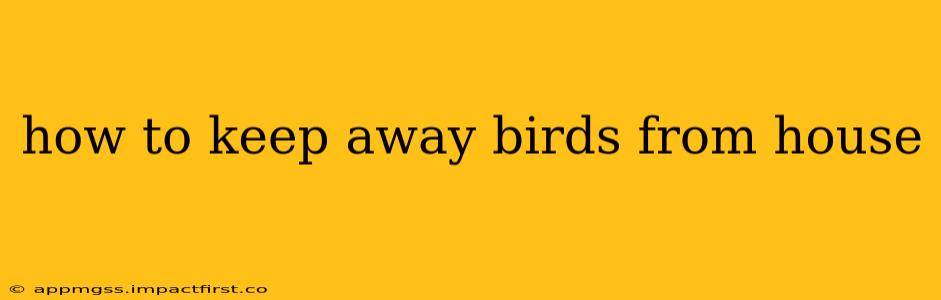 how to keep away birds from house