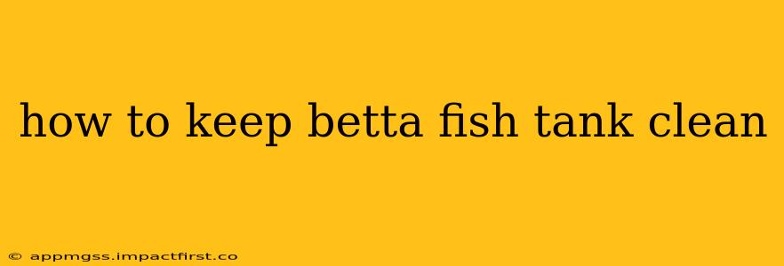 how to keep betta fish tank clean