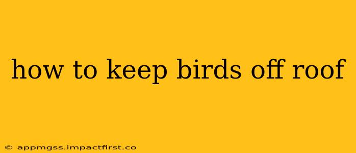 how to keep birds off roof