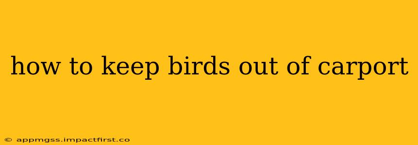 how to keep birds out of carport