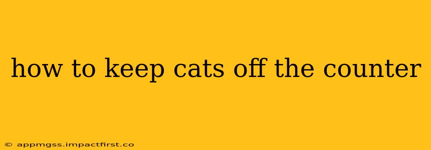 how to keep cats off the counter