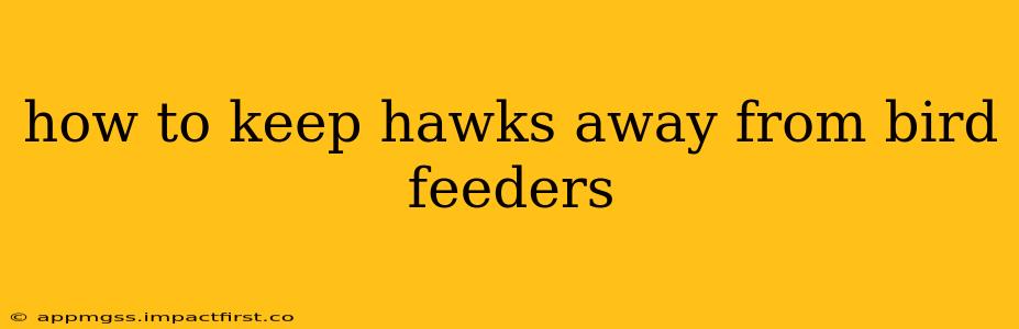 how to keep hawks away from bird feeders