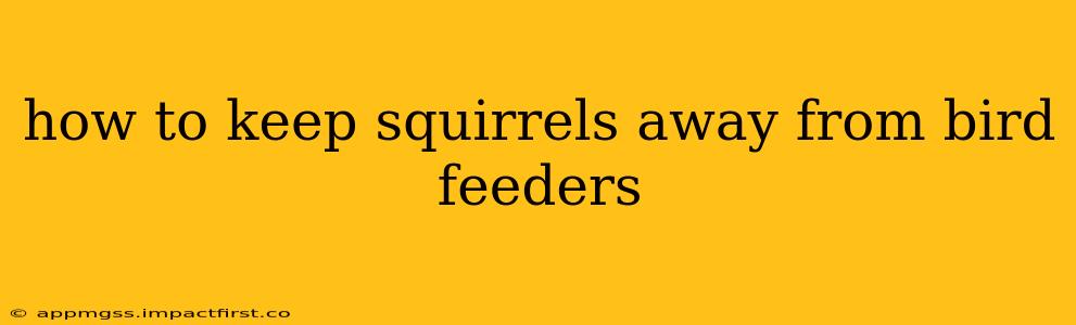 how to keep squirrels away from bird feeders
