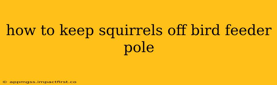 how to keep squirrels off bird feeder pole