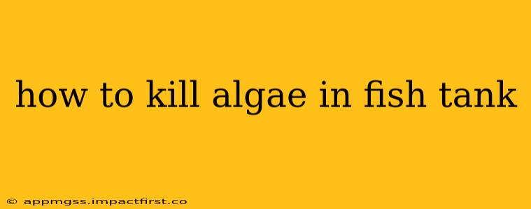 how to kill algae in fish tank