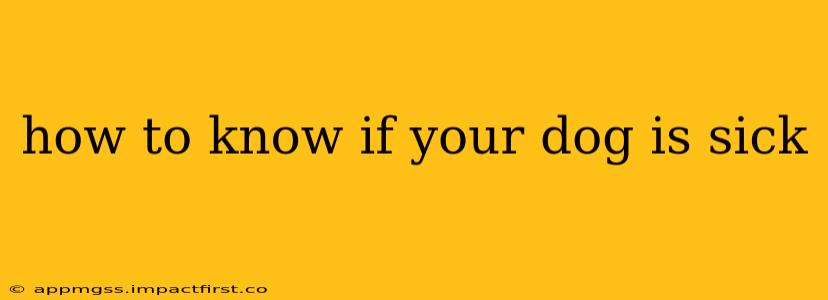 how to know if your dog is sick