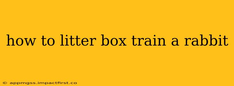 how to litter box train a rabbit