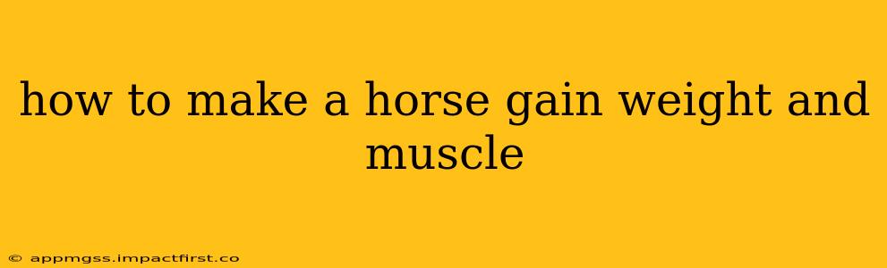 how to make a horse gain weight and muscle