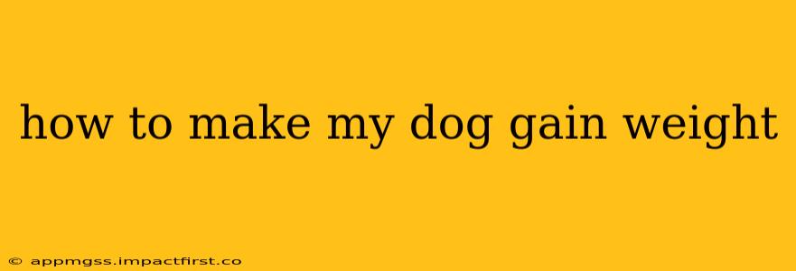 how to make my dog gain weight