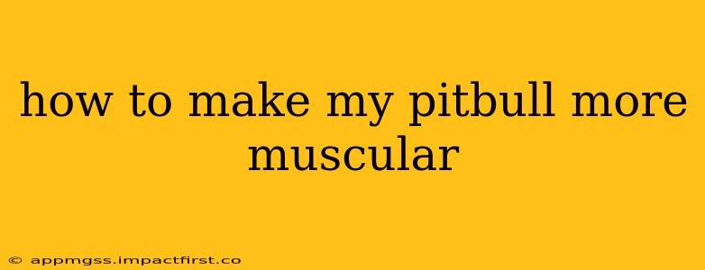 how to make my pitbull more muscular
