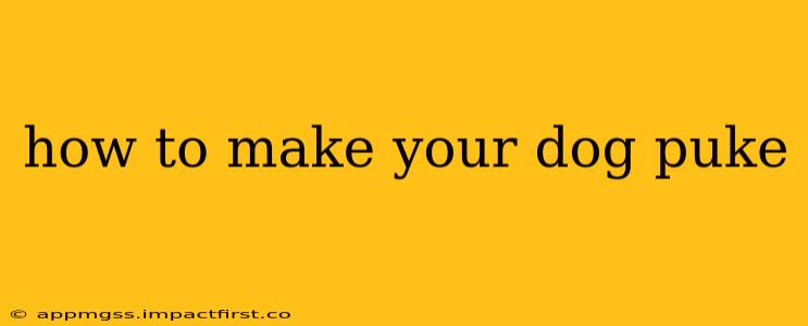 how to make your dog puke