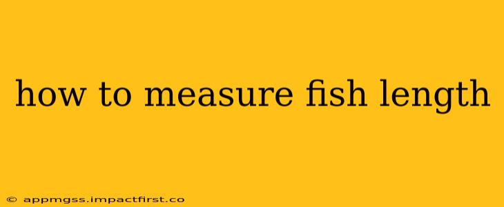 how to measure fish length