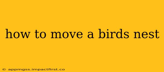 how to move a birds nest