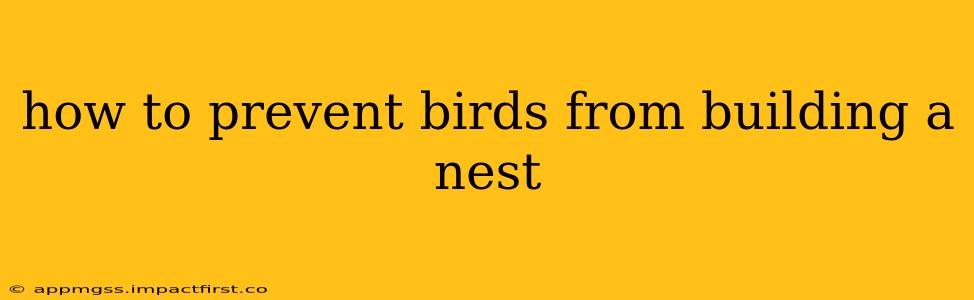 how to prevent birds from building a nest