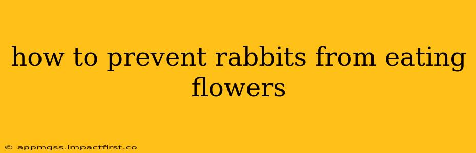 how to prevent rabbits from eating flowers