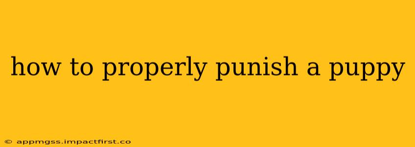 how to properly punish a puppy