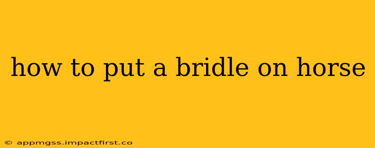 how to put a bridle on horse