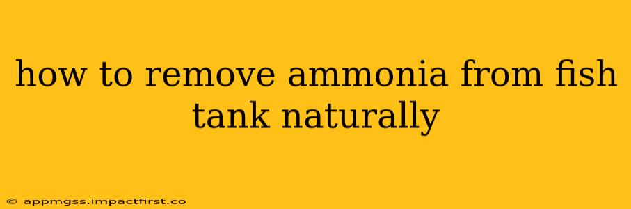 how to remove ammonia from fish tank naturally