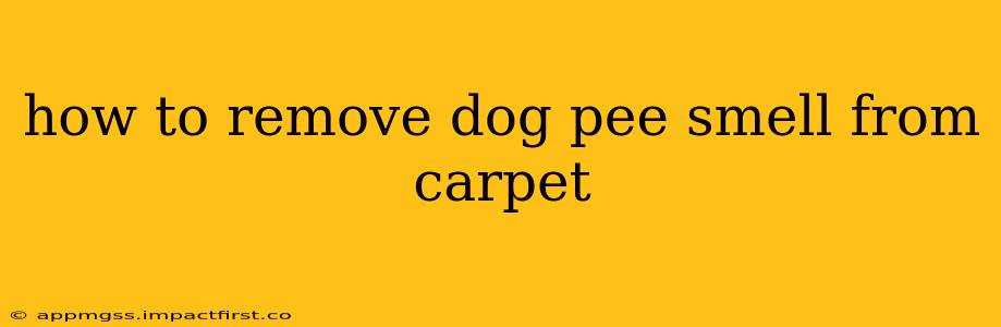 how to remove dog pee smell from carpet